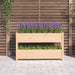 Planter 112x25x66 Cm Solid Wood Pine Nxtkxi