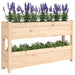 Planter 112x25x66 Cm Solid Wood Pine Nxtkxi