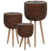 Planter 3 Pcs Wicker with Pe Lining Xalnxi