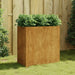 Planter 40x80x80 Cm Corten Steel Nxaptl