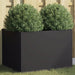 Planter Black 62x47x46 Cm Cold-rolled Steel Naolbo