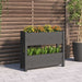 Planter Grey 77x25x66 Cm Solid Wood Pine Nxtkat