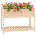 Planter With Shelf 111.5x54x81 Cm Solid Wood Pine Nxtini