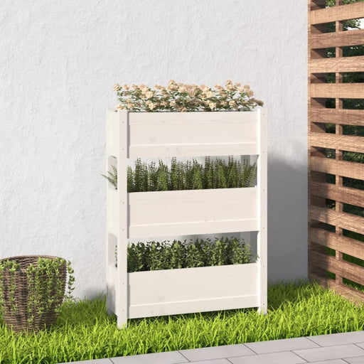 Planter White 77x25x104.5 Cm Solid Wood Pine Nxtktp