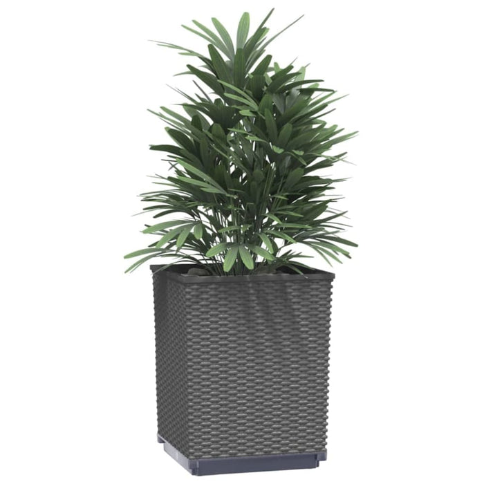 Planters 2 Pcs Black 30x30x37 Cm Polypropylene Tlaonx