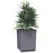 Planters 4 Pcs Dark Grey 30x30x37 Cm Polypropylene Tlaonp