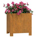 Planters With Legs 2 Pcs Grey 32x30x33 Cm Corten Steel