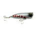 Popper Fishing Lures With Hooks 5.5 Cm Length