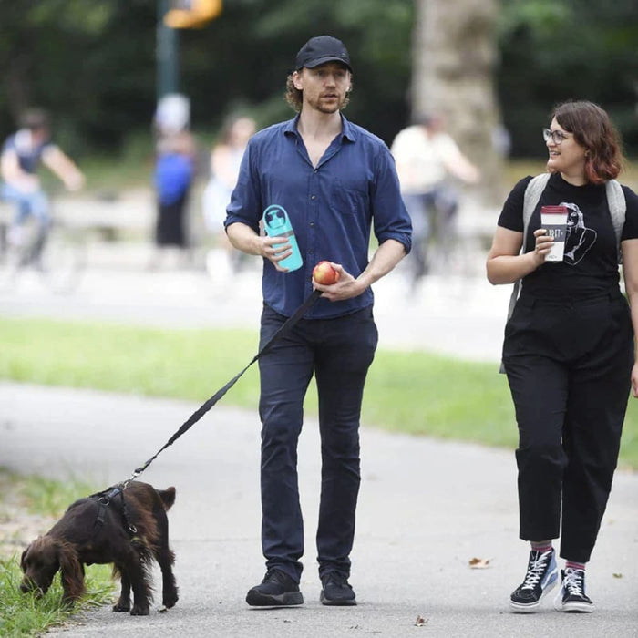 Portable Dog Pooper Scooper With Built In Bag Dispenser