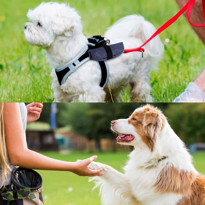 Portable Travel Foldable Safe Dog Water Food Bowl For Small