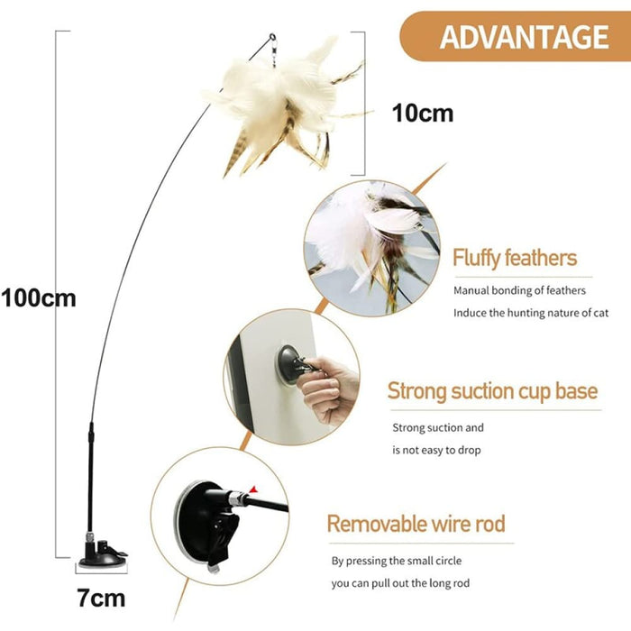 Powerful Suction Cup Natural Feather Wand Kitten Toys