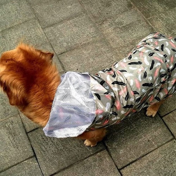 Printing Raincoat With Breathable Mesh For Dogs