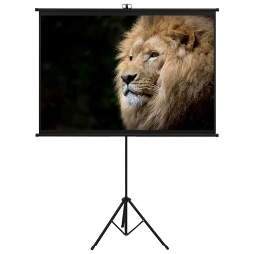 Projection Screen With Tripod 144.8 Cm 1:1 Poaon