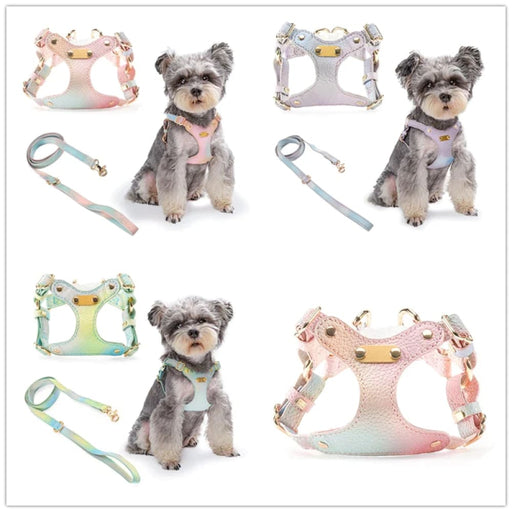 No Pull Dog Harness