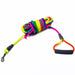 Rainbow Colour Dog Leash With Comfortable Handle