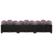 Raised Bed 120x40x23 Cm Polypropylene Tolpxn