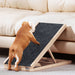 I.pet Dog Ramp Steps Adjustable Height For Bed Sofa Car