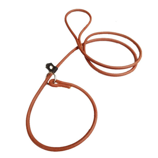 Real Leather Small Dog Leash