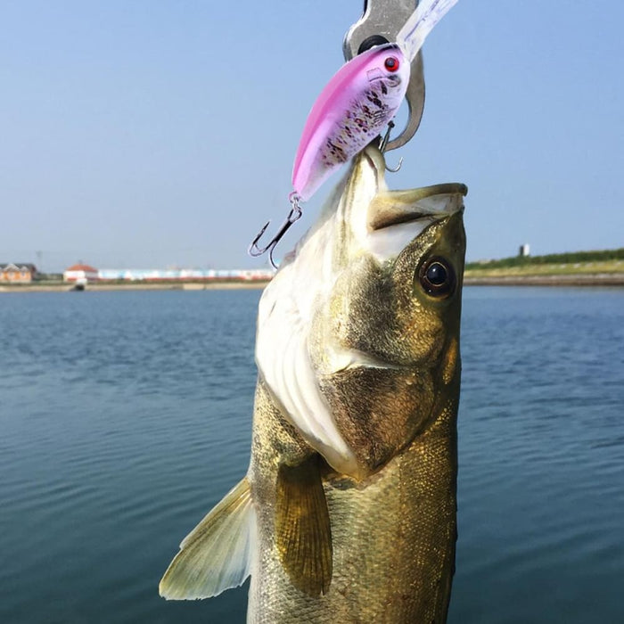 Realistic 12cm Hard Plastic Fishing Lures