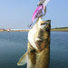 Realistic 12cm Hard Plastic Fishing Lures