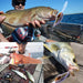 Realistic 12cm Hard Plastic Fishing Lures