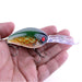 Realistic 12cm Hard Plastic Fishing Lures