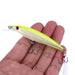 Realistic Laser Minnow Fishing Bait