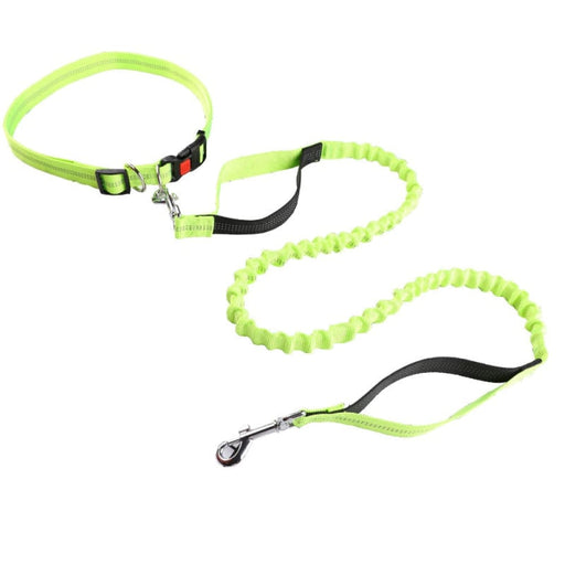 Reflective Adjustable Dog Leash With Waist Belt