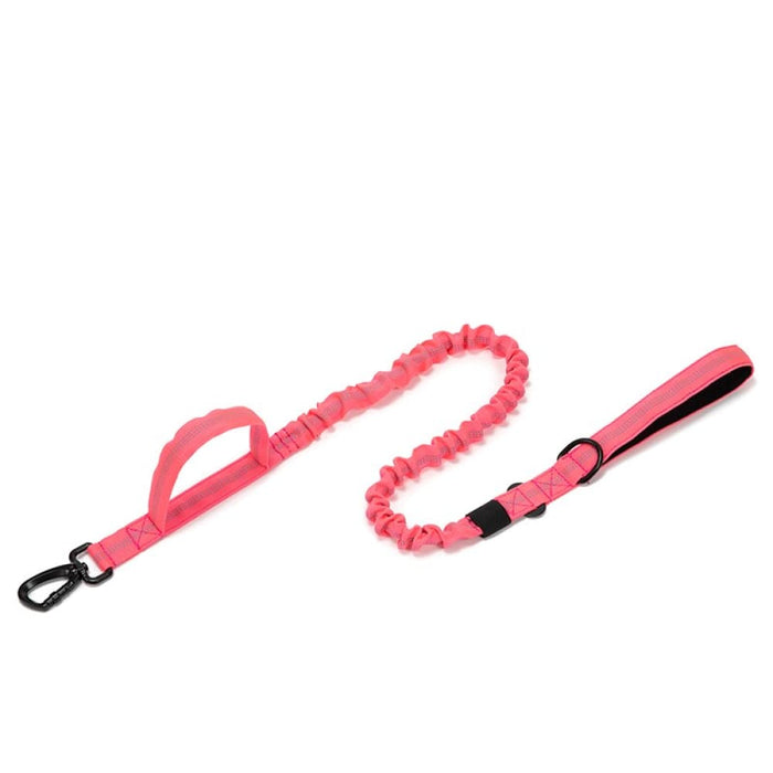 Reflective Medium Dog Leash 2 Handle Strong Pet Walking