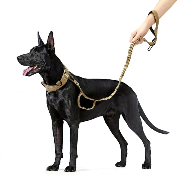 Reflective Medium Dog Leash 2 Handle Strong Pet Walking