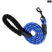 Reflective Nylon Dog Leash For All Sizes