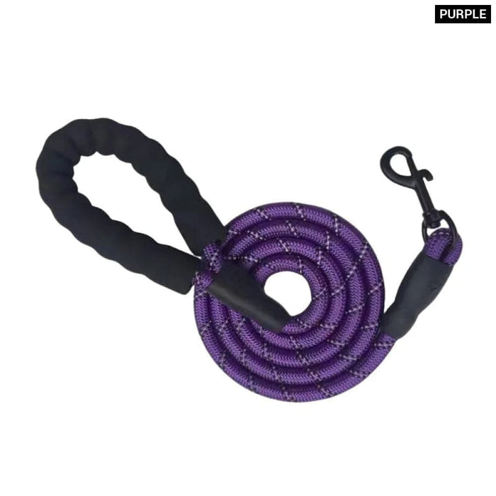 Reflective Nylon Dog Leash For All Sizes