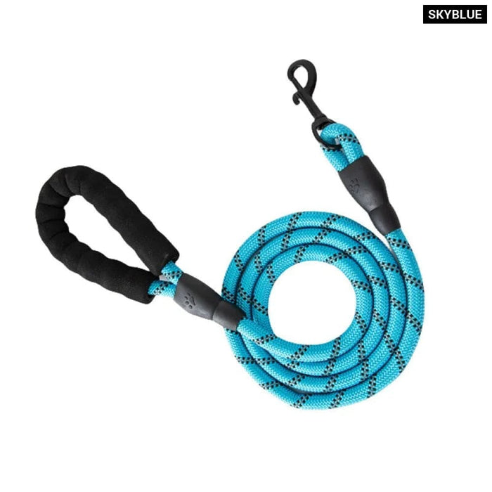 Reflective Nylon Dog Leash For All Sizes