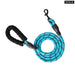 Reflective Nylon Dog Leash For All Sizes