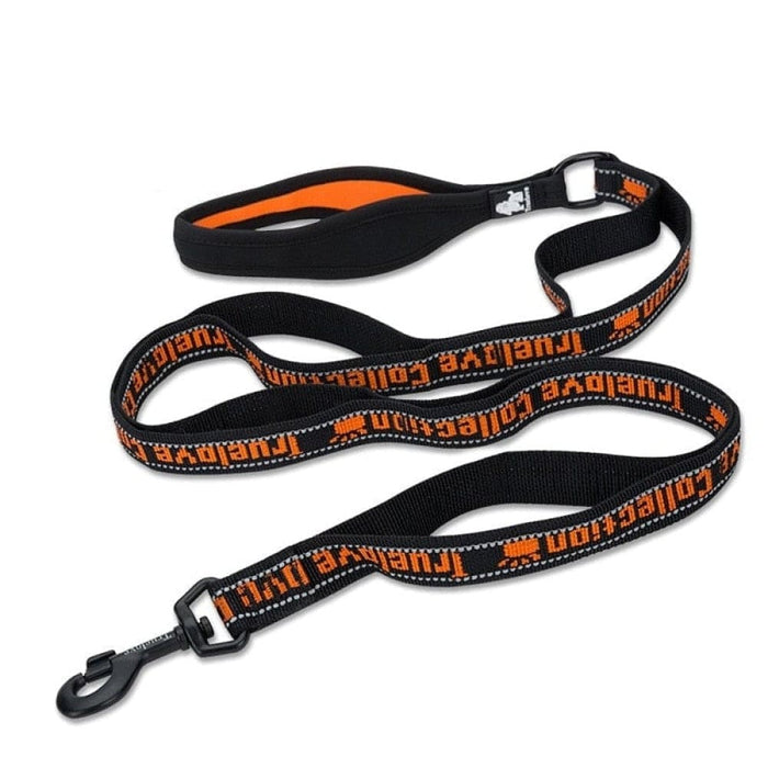 Reflective Nylon Leash For Pets