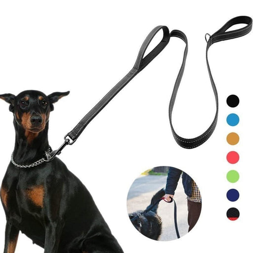 Reflective Padded Two Handle Durable Nylon Pet Training