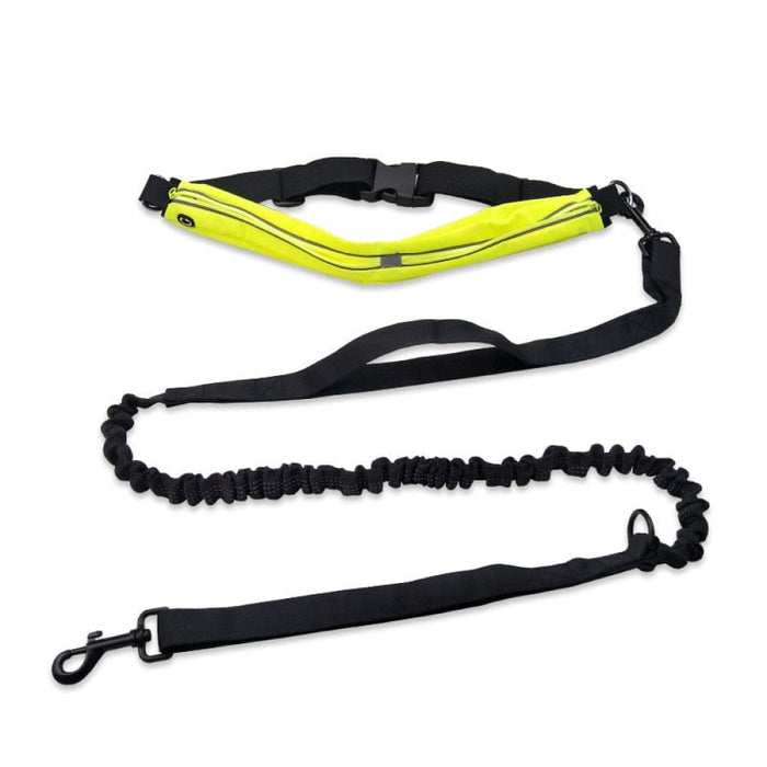 Reflective Dog Running Leash With Waterproof Waist Bag