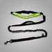 Reflective Dog Running Leash With Waterproof Waist Bag