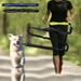 Reflective Dog Running Leash With Waterproof Waist Bag