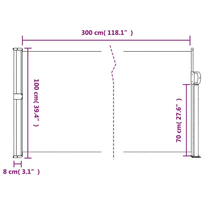 Retractable Side Awning Anthracite 100x300 Cm Abbaxin