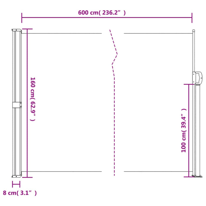 Retractable Side Awning Anthracite 160x600 Cm Abbaptt