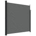 Retractable Side Awning Anthracite 200x600 Cm Abbaplt