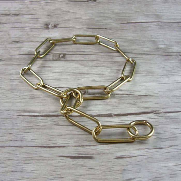 Ring Shape Golden Dog Collar