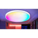 Round Smart Ceiling Light