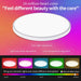 Round Smart Ceiling Light