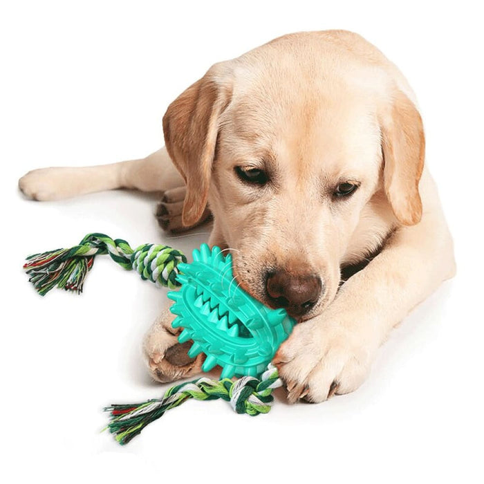 Rubber Soft Cactus Shaped Dog Chew Toy With Removable