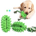 Rubber Soft Cactus Shaped Dog Chew Toy With Removable