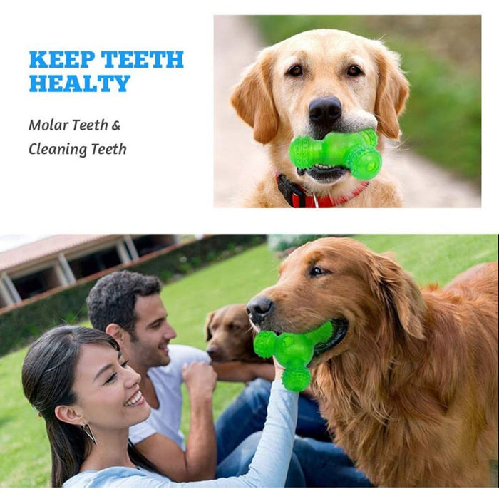 Safe Bite Resistant Teeth Cleaning Food Dispensing Dog Chew