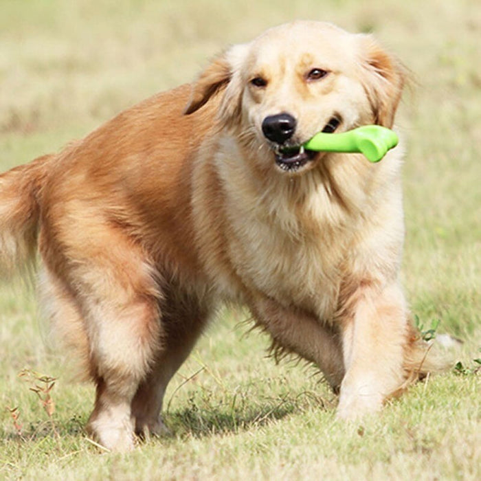 Safe Durable Tooth Cleaning Dog Green Giant Chew Bone