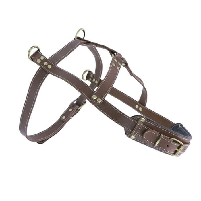 Sled Dog Leather Harness